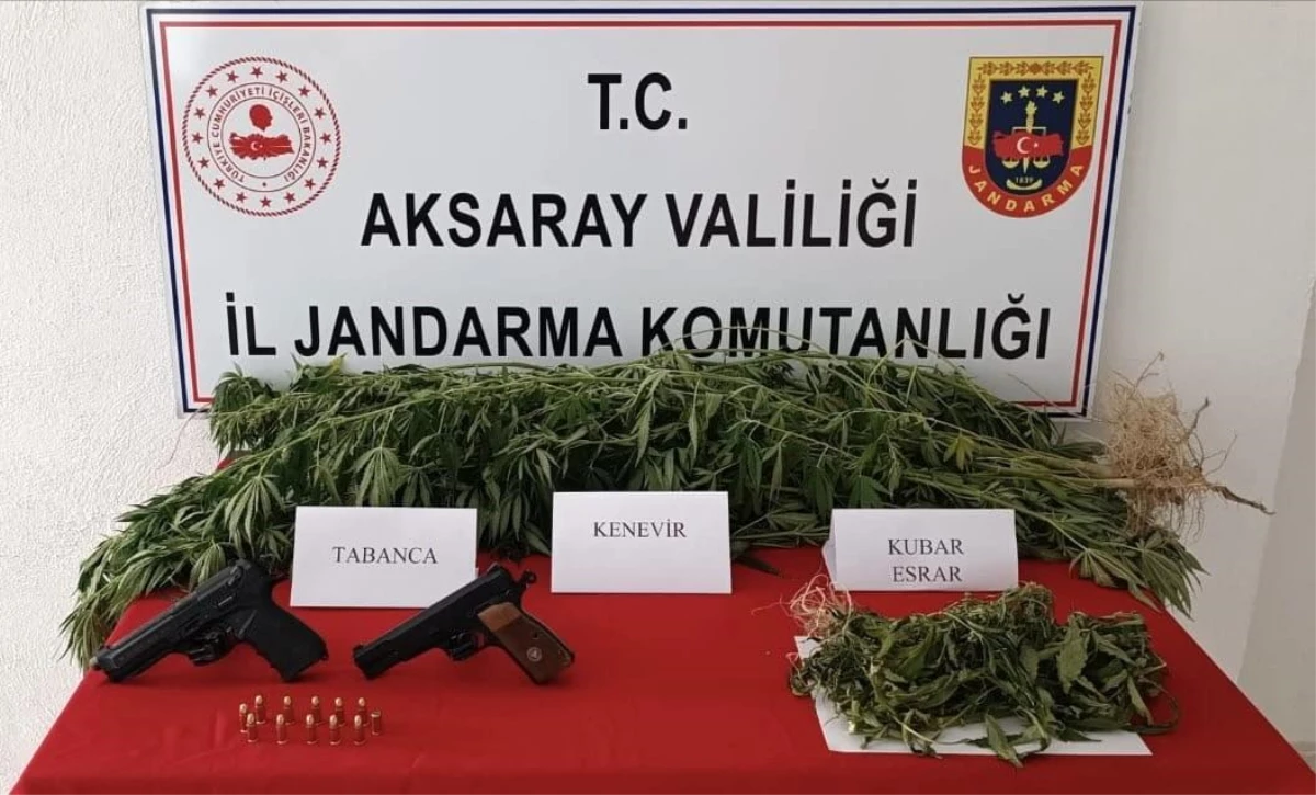 Aksaray’da Yasa Dışı Kenevir Ekimi ve Uyuşturucu Ticareti Operasyonu