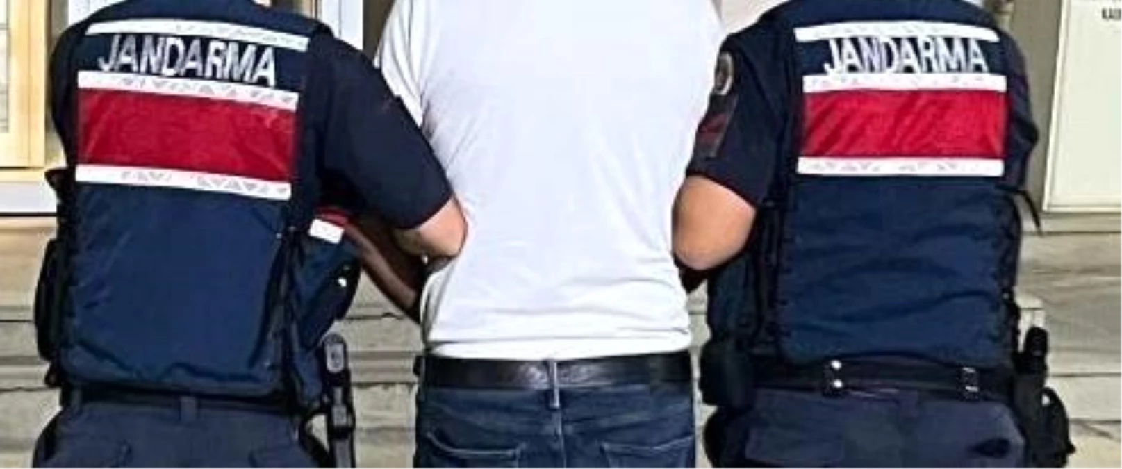 Aydın’da Terör Örgütü Üyesi ve Propagandacılarına Operasyon: 9 Gözaltı