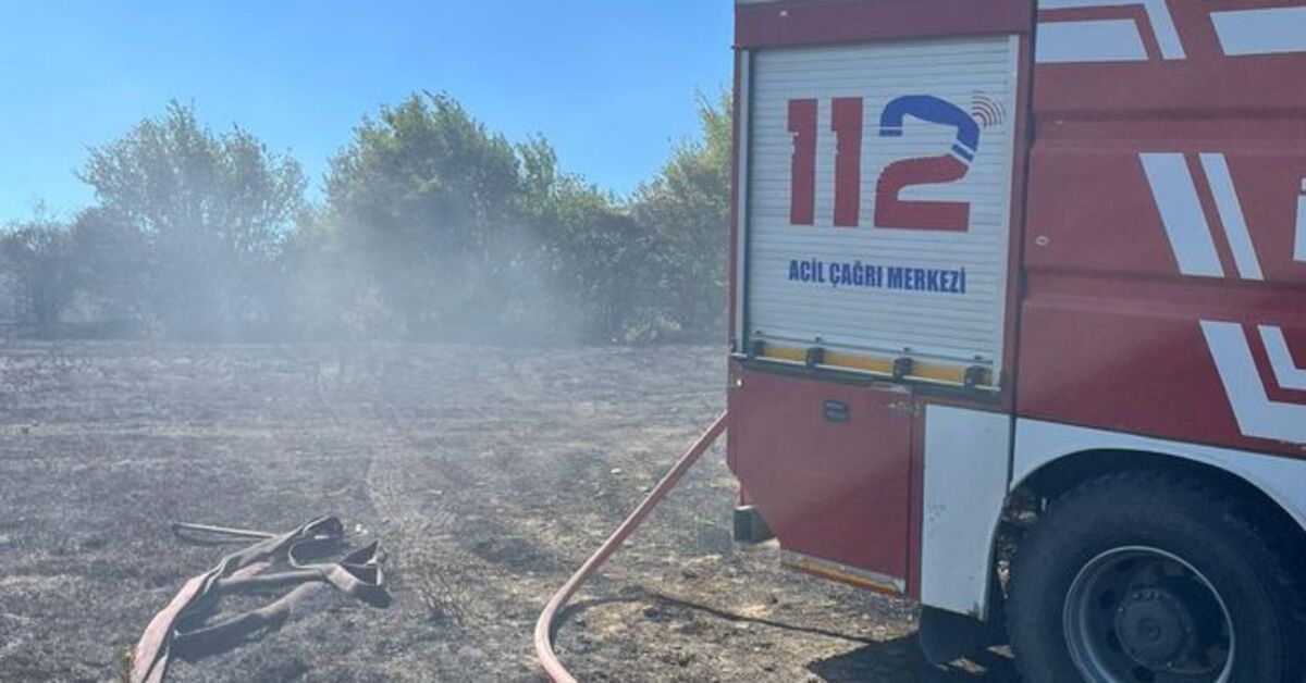 Samsun’da ormanlık alanda yangın çıktı