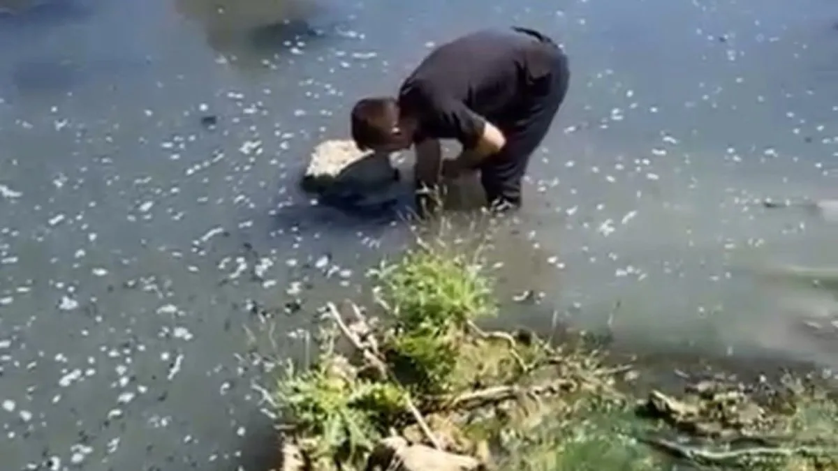 Yer Bolu: Atıklarını dereye boşaltan patates firmasına ceza!